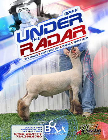 Under the Radar